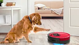 10 meilleurs robots aspirateurs pour poils d'animaux