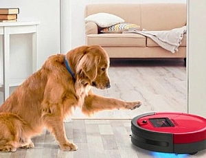 10 nejlepších robotických vysavačů pro zvířecí chlupy