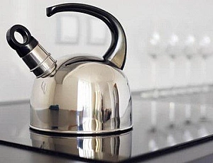 10 Best Induction Cooker Kettles