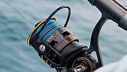 10 migliori linee per lo spinning