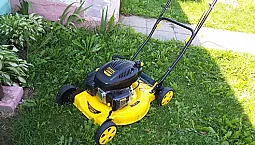 Los 8 mejores cortacéspedes Champion