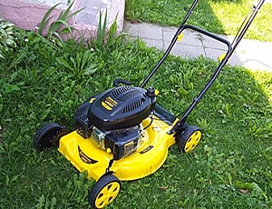 The 8 Best Champion Lawn Mowers