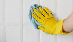 Top 10 producători de chituri pentru plăci