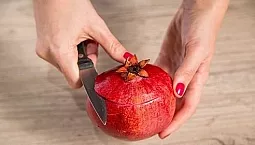 10 Καλύτεροι Μηχανικοί Αποχυμωτές Ροδιού