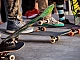 15 meilleurs skateboards, longboards et penny boards