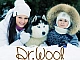 ดร. ผ้าขนสัตว์ - บทวิจารณ์ชุดชั้นในระบายความร้อนจากธรรมชาติจากผู้ผลิตรัสเซีย