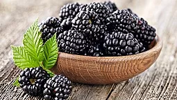 10 καλύτερες ποικιλίες βατόμουρου για την περιοχή της Μόσχας