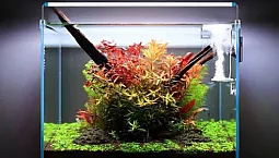 20 أفضل منتجات حوض السمك من Aliexpress