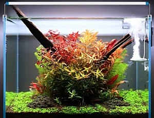 20 migliori prodotti per acquari di Aliexpress