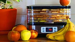 Ár és minőség tekintetében az 5 legjobb szárítógép gyümölcsökhöz és zöldségekhez