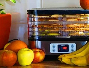 Els 5 millors assecadors de fruites i verdures pel que fa a preu i qualitat