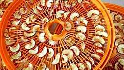 Le meilleur séchoir à fruits économique - Veterok, Rotor ou Suhovey ?