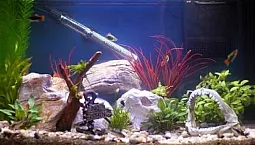 Les 8 meilleurs radiateurs d'aquarium
