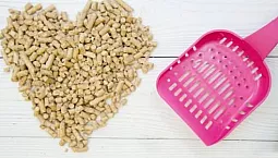 Cele mai bune 10 așternuturi de pisici din lemn din 2021