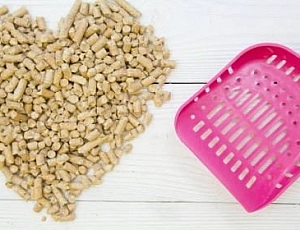 Le 10 migliori lettiere per gatti in legno del 2021