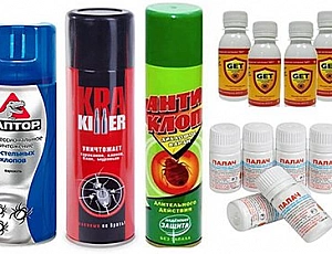 13 najučinkovitejših neodišavljenih zdravil proti stenicam leta 2021