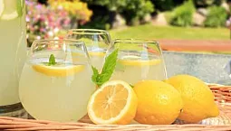 5 Καλύτεροι Χειροκίνητοι Αποχυμωτές από την Aliexpress