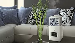 أفضل مرطب للميزانية للشقة - Xiaomi أو Ballu أو Electrolux؟