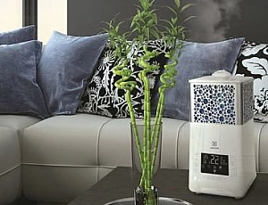 Bästa budgetluftfuktaren för en lägenhet - Xiaomi, Ballu eller Electrolux?