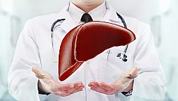 12 bästa hepatoprotectors för leveråterställning