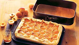 10 meilleurs moules à charnière