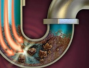 I 20 migliori scovolini