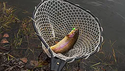 10 רשתות הנחיתה הטובות ביותר לדיג