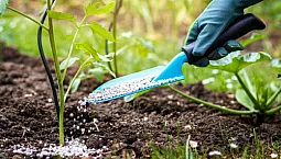 9 καλύτεροι Ρώσοι παραγωγοί λιπασμάτων