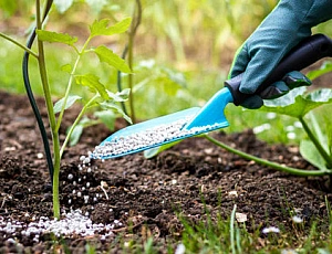 9 best Russian fertilizer producers