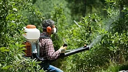 7 mejores repelentes de mosquitos