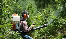 7 καλύτερα απωθητικά κουνουπιών