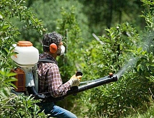 7 najboljših repelentov proti komarjem