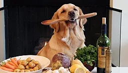 Los 10 principales fabricantes rusos de comida para perros