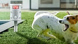 20 mejores repelentes de perros de Aliexpress