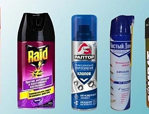 10 Semprotan Kutu busuk yang Bagus dan Murah
